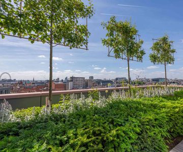 Design and installation of podium landscape irrigation at Ilona Rose House