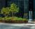 Design & installation of new irrigation system at Triton Square 3