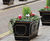 Oldham Standard – large cast iron planter 3