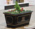 Oldham Standard – large cast iron planter 9