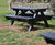 Sneyd Hill Picnic Bench - recycled plastic picnic table 0