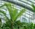 Sky Garden, 20 Fenchurch Street — Level 35 irrigation & misting 7