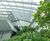 Sky Garden, 20 Fenchurch Street — Level 35 irrigation & misting 4