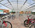 Cambridge Cycle Shelter - steel outdoor bike storage 1