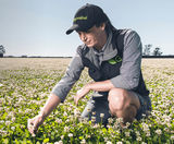 DoubleRoot climate-smart clover for amenity spaces - on this page