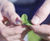 DoubleRoot climate-smart clover for amenity spaces 4
