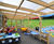 Delamere Monopitch – timber polycarbonate walkway canopy 2