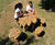 Oak Leaf Table - decorative outdoor playground table 3
