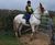 Steel bridleway gates 4