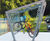 Edge - contemporary glass and stainless steel cycle shelter 4