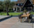 CED are new Schellevis distributors 0