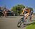 Velodrome safety fencing system - Preston Park, Brighton 1