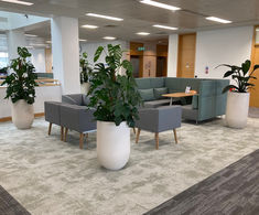 Tulla lightweight fibreglass interior planters
