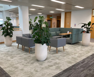 Tulla lightweight fibreglass interior planters
