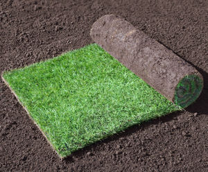 Harrowden's Position on Plastic In Turf