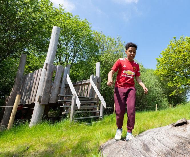 Focus on playful landscape for RSPB Old Moor in the Dearne Valley