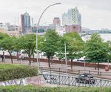 Trees for urban climates - on this page