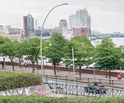 Trees for urban climates