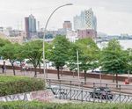 Trees for urban climates