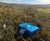 WET150 Soil Sensor used to research plant species recovery 0