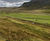 WET150 Soil Sensor used to research plant species recovery 2