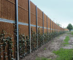 Greenscreen Standard - plant-supporting noise barrier