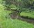 Habitat restoration improves biodiversity at Bushy Park 0