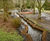 Habitat restoration improves biodiversity at Bushy Park 2