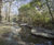 Habitat restoration improves biodiversity at Bushy Park 4