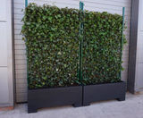 Bespoke mobile barrier planter with screening hedge - on this page