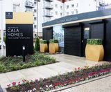 Bespoke planters with buxus hedging for Cala Homes - on this page