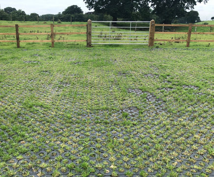 Geocross Overflow Parking - Capesthorne Hall