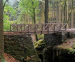 Timber footbridges - hardwood and softwood