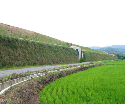 ArmaGreen™ - vegetated reinforced steep slope solution