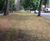 Terram HDPE Geocells for tree root protection 6