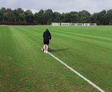 Johnsons Sport Seed delivers a sustainable drought-tolerant sward - on this page