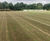 Johnsons Sport Seed delivers a sustainable drought-tolerant sward 1