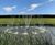 SS2 Cluster Arch fountain at Exeter Golf & Country Club 0