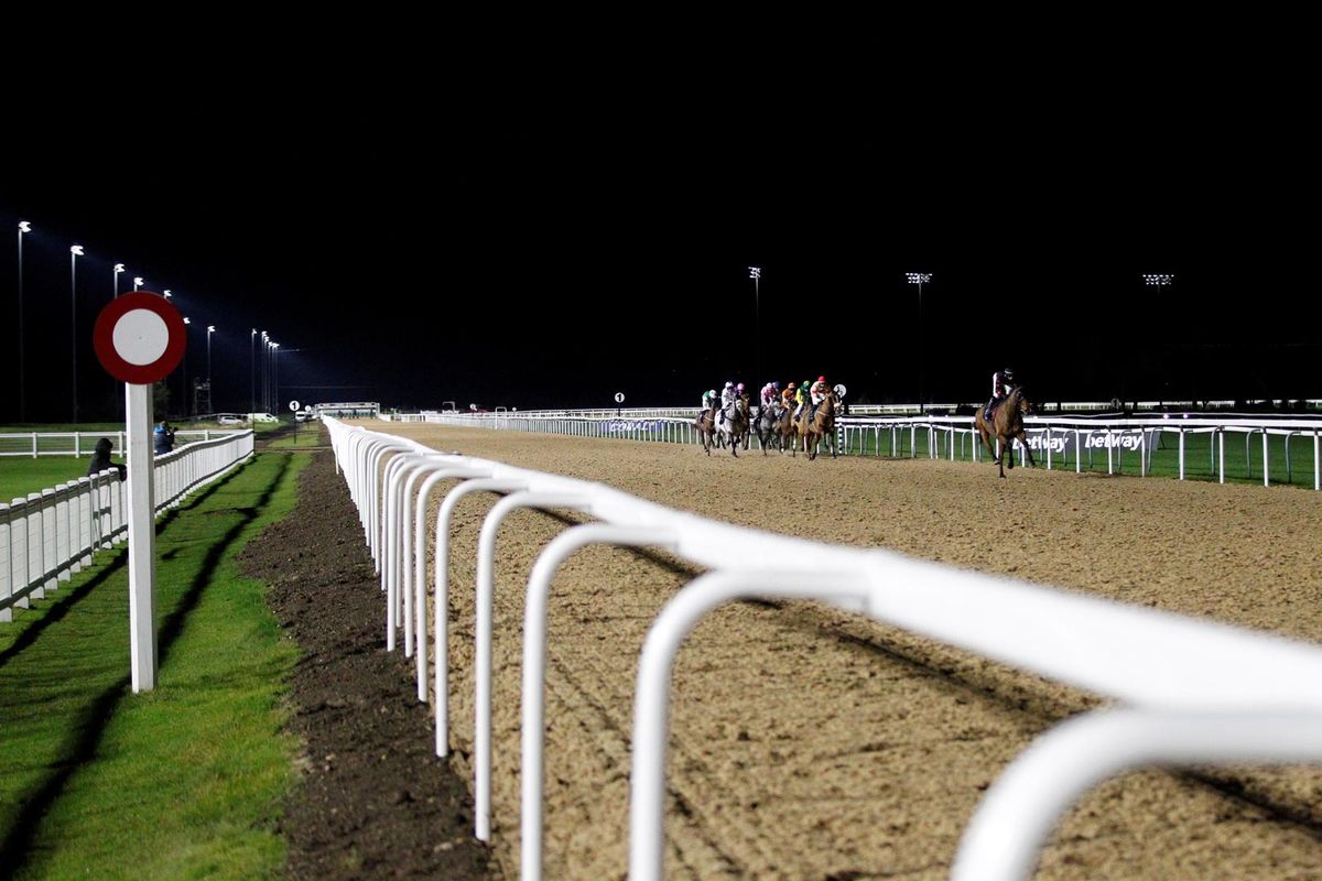 Jogging Track Railing Duralock equestrian and racing PVC running rail | Images