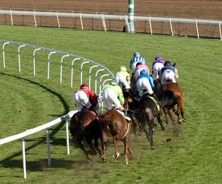 Duralock equestrian and racing PVC running rail