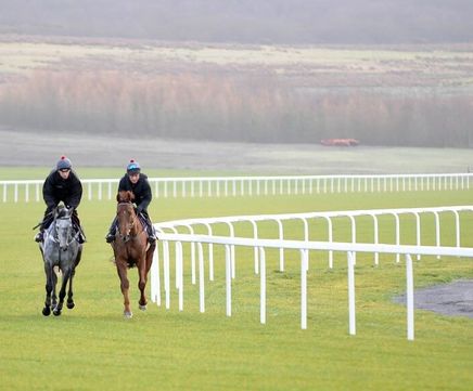Duralock PVCu equestrian fencing
