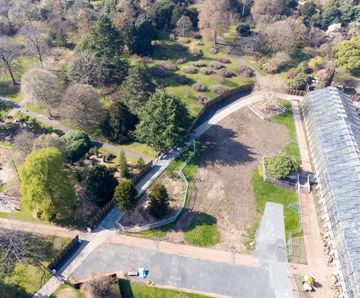 Tree root protection on access road at Royal Botanic Gardens