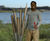 Cattail Chimes outdoor musical instrument (options available) 0