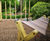 Sir Harold Hillier Gardens - Guests Make Music With No Boundaries 1