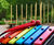 Sir Harold Hillier Gardens - Guests Make Music With No Boundaries 3