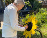 Housing and care trust encourages outdoor musical engagement - on this page