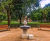Diva benches for Cassiobury Park 0