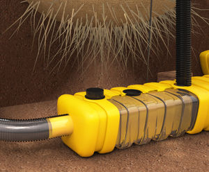 Effective Tree and Plant Irrigation