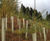 Rural Planting and Ground Care 0