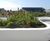 Green-tree Intensive Roof Garden Substrate 3